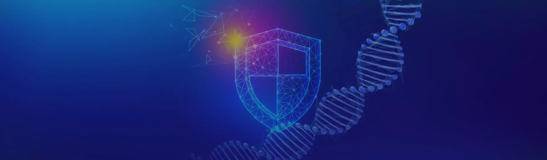 Blockchain-Based Intrusion Detection System for Cybersecurity Healthcare Startup